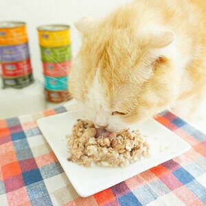 フィッシュ4 キャット 缶詰 ツナ&エビ 70g×10缶 fish4 TUNA FILLET WITH PRAWN 無添加フード【正規品】 【ポイント10倍】