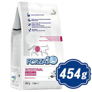 FORZA10 Lbg CeXeBiANeBu 454g tHc@fBG` Lbgt[h yKiz