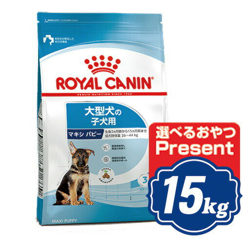 ロイヤルカナン マキシ パピー 15kg 大型犬子犬用 ドッグフード ROYAL CANIN 【正規品】