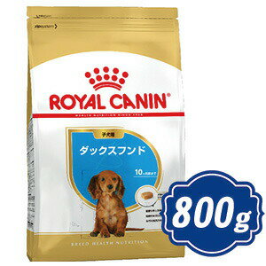 ロイヤルカナン ダックスフンド 子犬用 800g ドッグフード ブリード ROYAL CANIN 【正規品】