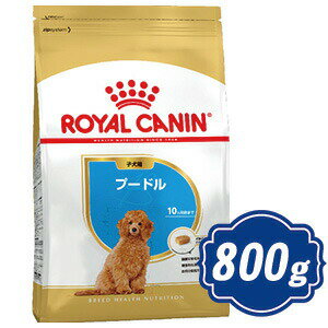 ロイヤルカナン プードル子犬用 800g ドッグフード ブリード ROYAL CANIN 【正規品】