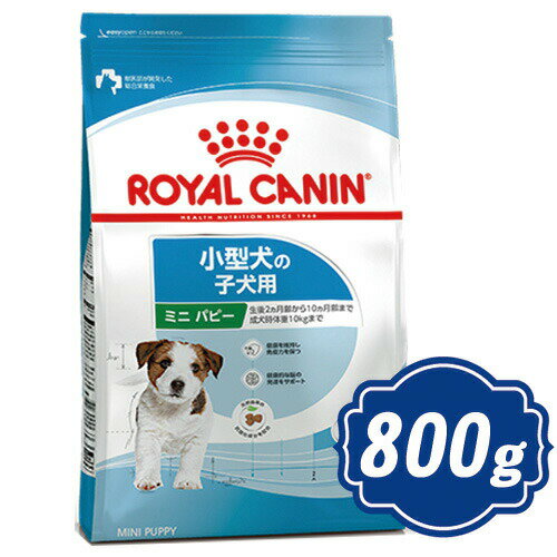 ロイヤルカナン ミニ パピー 800g 小型犬子犬用 ドッグフード ROYAL CANIN 【正規品】