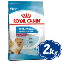 CJi ~j ChA ps[ 2kg ^qp hbOt[h ROYAL CANIN yKiz