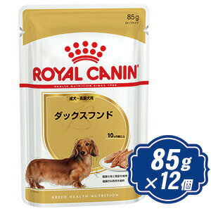 yő1000~OFFN[|zzz CJi hbO _bNXth EFbg `p 85g~12 hbOt[h ROYAL CANIN yKiz