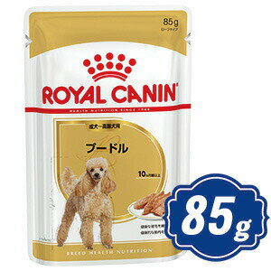 yő1000~OFFN[|zzz CJi hbO v[h EFbg `p 85g hbOt[h ROYAL CANIN yKiz