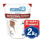 yő1000~OFFN[|zzz FORZA10 hbO CeXeBiANeBu 2kg tHc@fBG` INTESTINAL active hbOt[h yKiz