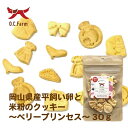 商品画像2