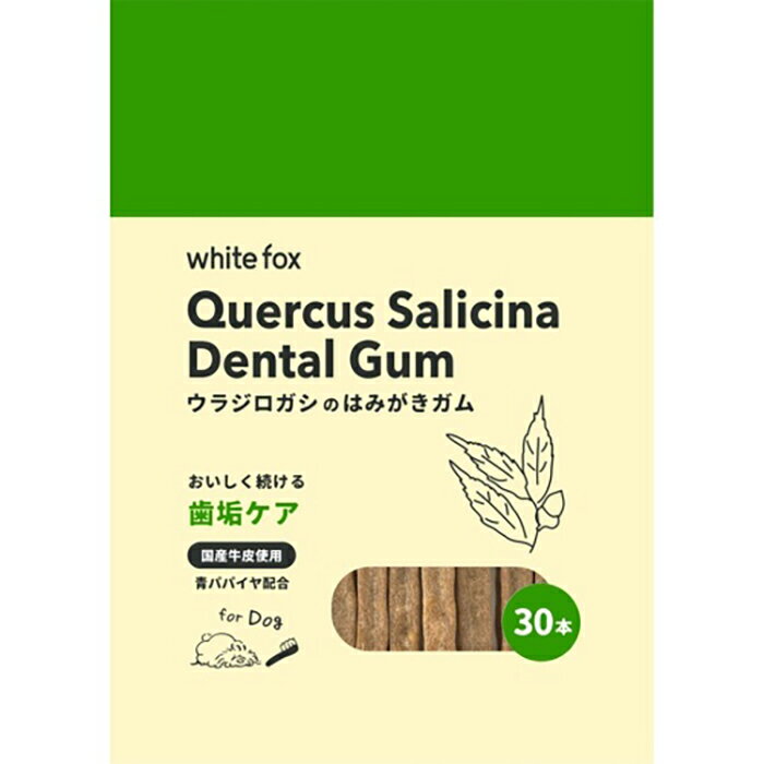 【最大2500円OFFクーポン配布中】 ホワイトフォックス ウラジロガシのはみがきガム 30本（犬用おやつ）