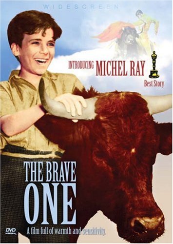 DVDڹ The Brave One