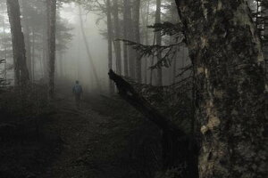 ■予約■SALEOFF!新品DVD!WONDERMOUNTAINS2!<ゴキゲン山映像>