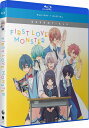 新品北米版Blu-ray!【初恋モンスター】全12話!
