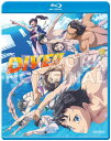 新品北米版Blu-ray!【DIVE!!】全12話
