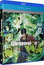 新品北米版Blu-ray!【Dimension W(ディメンション ダブリュー)】全12話