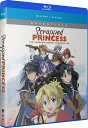新品北米版Blu-ray!【スクラップド・プリンセス】全24話!