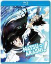 新品北米版Blu-ray!【夏のあらし!】全13話