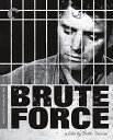 RGB DVD STORESPORTSCULTURE㤨ֿBlu-rayڿ˽ư Brute Force (Criterion Collection [Blu-ray]㥸塼륹åĺʡפβǤʤ7,798ߤˤʤޤ