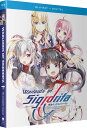 新品北米版Blu-ray!【戦翼のシグルドリーヴァ】全12話