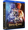 新品北米版Blu-ray!【ブラッククローバー 第1期】全話(第1話~第51話)!