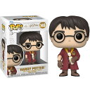 ファンコ FUNKO POP MOVIES: Harry Potter- Chamber of Secrets Anniversary- Harry ＜ハリー ポッター＞