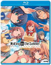 新品北米版Blu-ray!【あの夏で待ってる】全12話+OVA