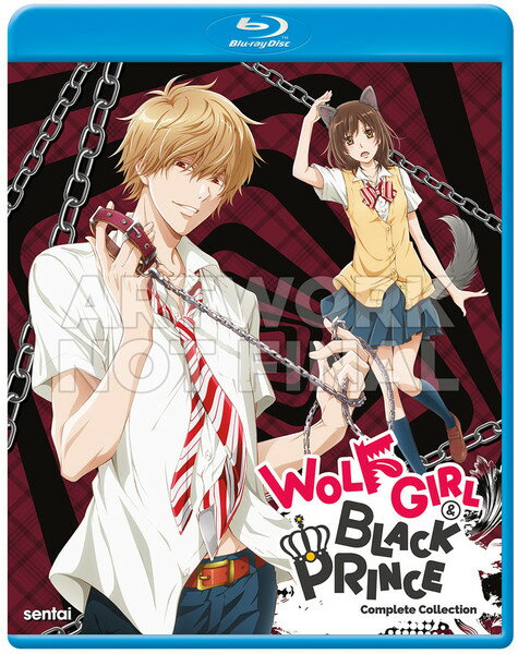 新品北米版Blu-ray！【オオカミ少女と黒王子】全12話