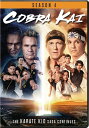 新品北米版DVD！【コブラ会 シーズン4】 Cobra Kai: Season 4！