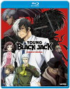 ■予約■新品北米版Blu-ray!【ヤング ブラック・ジャック】全12話