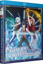 新品北米版Blu-ray!【冰剣の魔術師が世界を統べる】全12話!