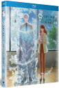 新品北米版Blu-ray!【氷属性男子とクールな同僚女子】全12話!