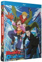 新品北米版Blu-ray!【Buddy Daddies(バディ・ダディズ)】全12話!