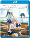 新品北米版Blu-ray!【夢見る男子は現実主義者】全12話