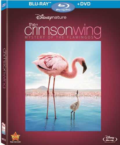 新品北米版Blu-ray！【ディズニーネイチャー　フラミンゴに隠された地球の秘密】 Disneynature: Crimson Wing - The Mystery of the Flamingo [Blu-ray/DVD]！