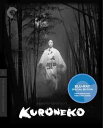新品北米版Blu-ray!【薮の中の黒猫】