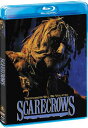 新品北米版Blu-ray！【ヘル ゴースト／悪魔のスケアクロウ】 Scarecrows Blu-ray ！