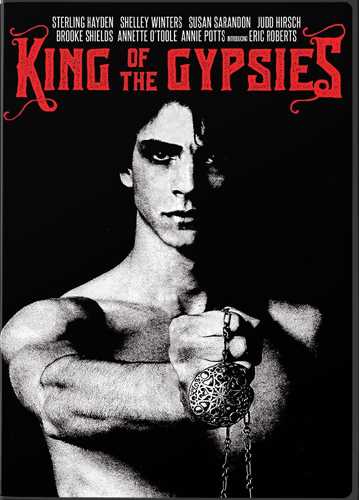 新品北米版DVD！【キング・オブ・ジプシー】 King of the Gypsies！