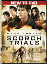 新品北米版DVD！【メイズ ランナー2：砂漠の迷宮】 Maze Runner: The Scorch Trials！