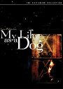 新品北米版DVD!【マイライフ・アズ・ア・ドッグ】My Life as a Dog (Criterion Collection)