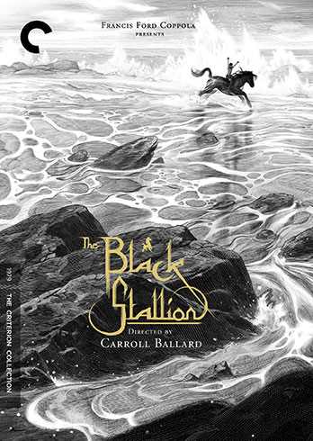 新品北米版DVD！【ワイルド・ブラック／少年の黒い馬 】 The Black Stallion: Criterion Collection！