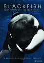 新品北米版DVD!【ブラックフィッシュ】 Blackfish!