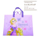 レッスンバッグ カーズ プリンセス ラプンツェル レッスンバック 手提げ 絵本バッグ 入園入学準備 ディズニー バッグ 子供 キッズ 男の子 女の子 幼稚園 保...