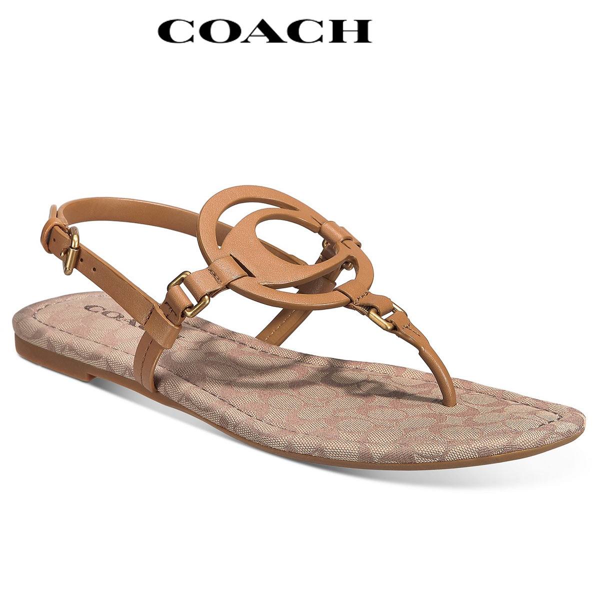   ǥ ڤ  ֥ 礭 Coach