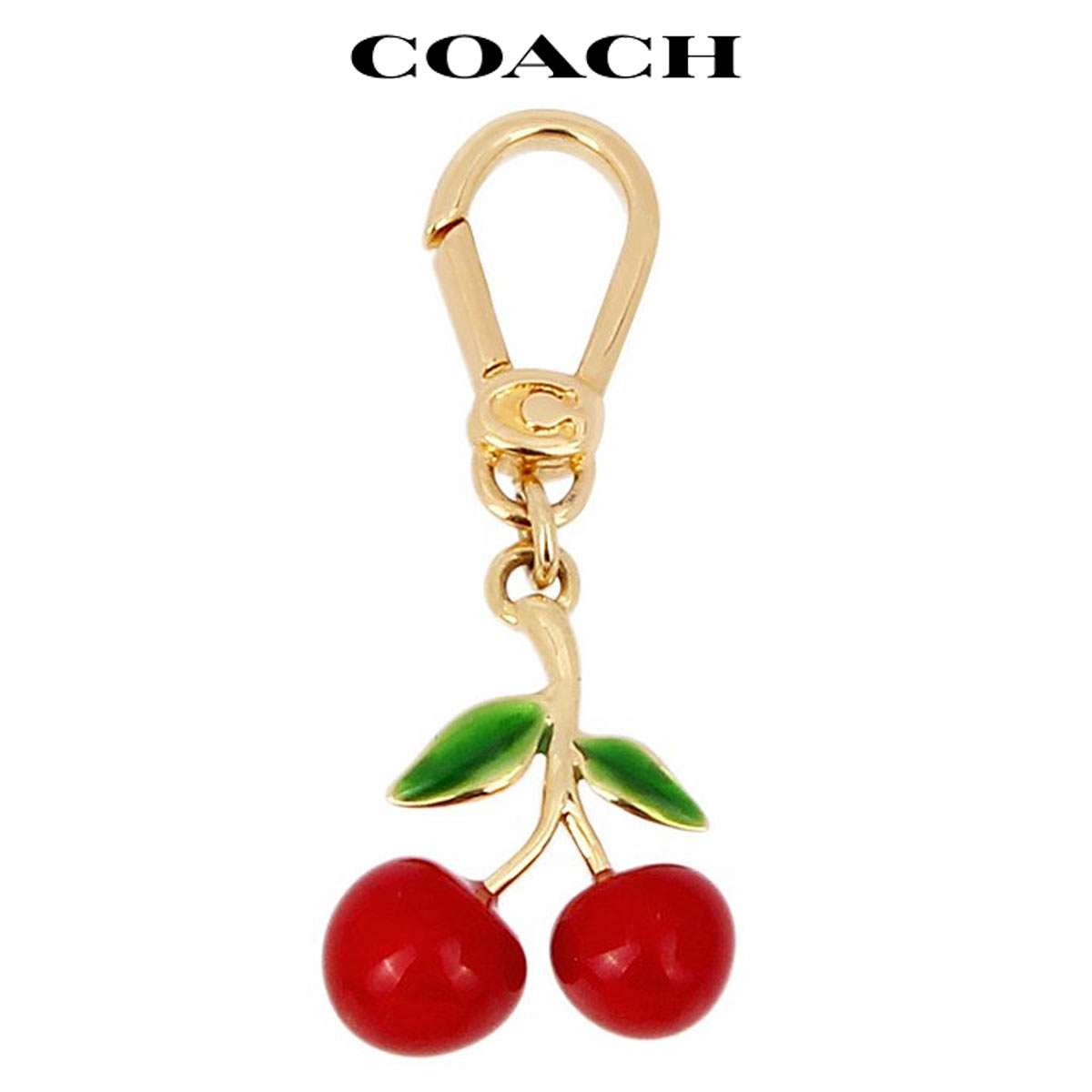  ڥȥȥå ͥå쥹 ֥쥹å 㡼 ֥  ꡼ ȥå COACH