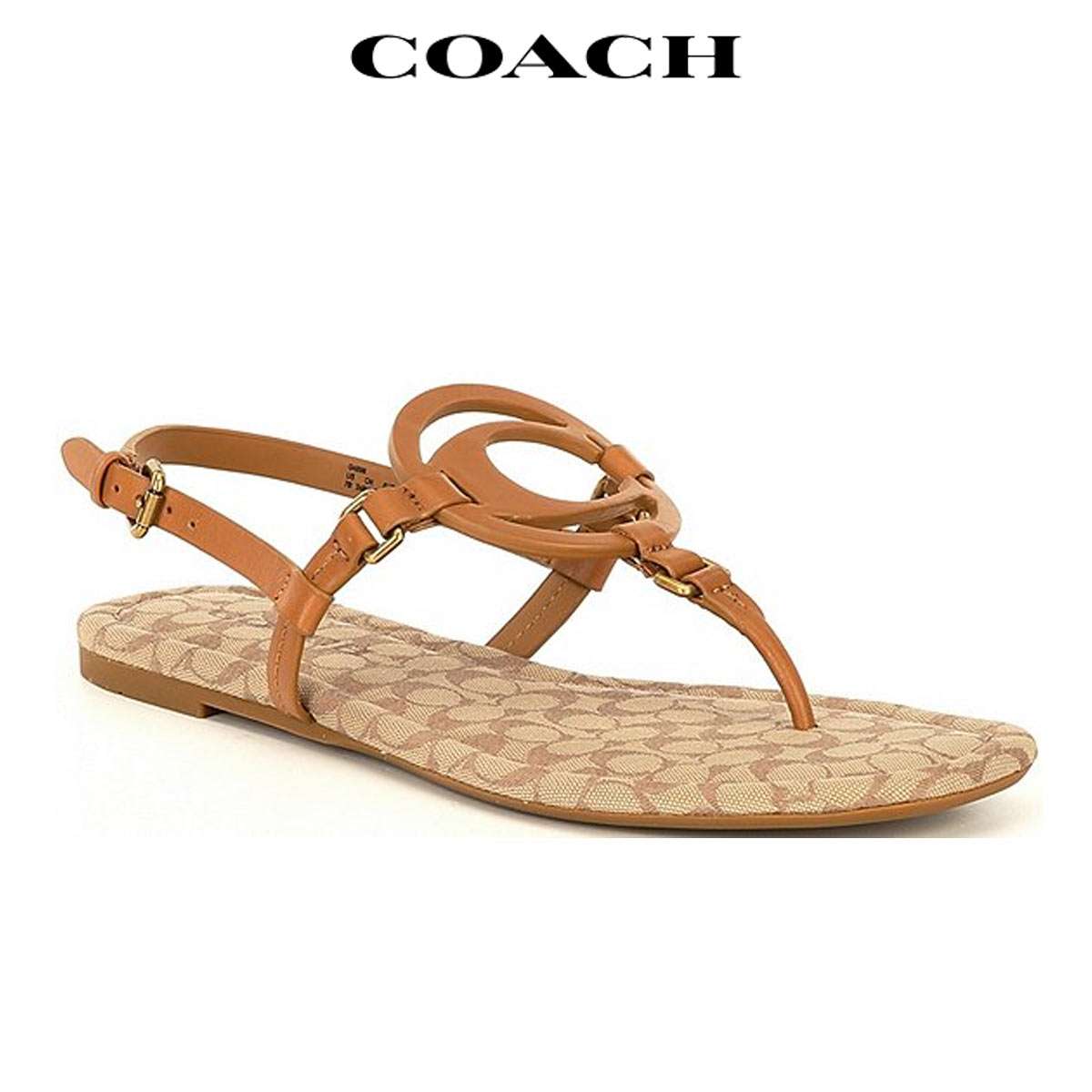   ǥ ڤ ⤭䤹 å ˤʤ ȥ ŷ coach