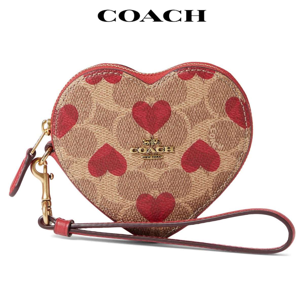  󥱡   ߥ ǥ ϡ Хå  Coach