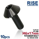 M6×17 P1.00 チタンボルト ブレーキディスクボルト 10本セット 6mm 17mm ピッチ1.0 ブラック 焼き色なし CB1300 CB1100 チ...