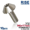 M6×17 P1.00 チタンボルト ブレーキディスクボルト 10本セット 6mm 17mm ピッチ1.0 シルバー グレード5 軽量化 焼き色なし CB130...