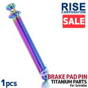 \お買い物マラソンSALE/ チタン製ブレーキパッドピン ブレンボ 旧カニキャリパー用 2POT 1PIN用 焼き色 旧型 64チタン