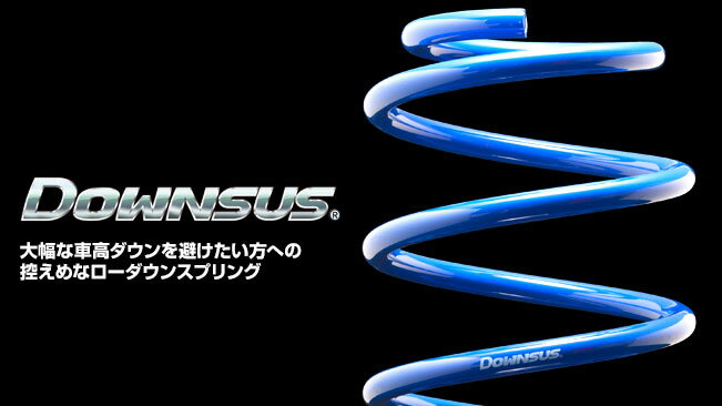 ESPELIR エスペリア ダウンサス TOYOTA トヨタ VOXY ヴォクシー H26/1〜H29/7 ZRR85G 4WD 2.0L 前期 / V / X フロント・リア(1台分) 1