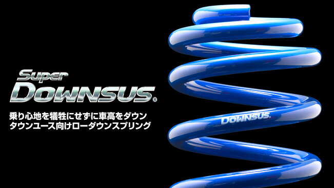 ESPELIR エスペリア スーパーダウンサス TOYOTA トヨタ WISH ウィッシュ H17/9〜H21/3 ANE11W 2WD 2.0L Z 後期 (オーバーフェンダー付） フロント・リア(1台分)