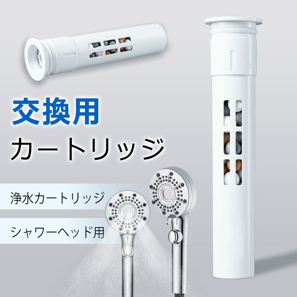 乐天商城 - SS先行2450→980円★2本入り★シャワーヘッド用 浄水カートリッジ 塩素除去 マイクロナノバブル 美肌 美容 頭皮ケア 水圧アップ 交換用フィルター 軽量 取付簡単 高性能フィルター バス用品 亜硫酸カルシウム 頭皮シャワーヘッド マイクロナノバブル フィルタ シャワーヘッド